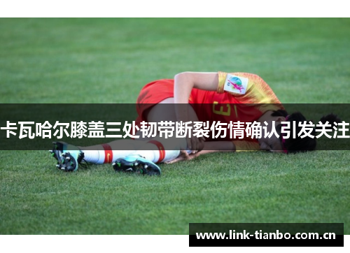 卡瓦哈尔膝盖三处韧带断裂伤情确认引发关注