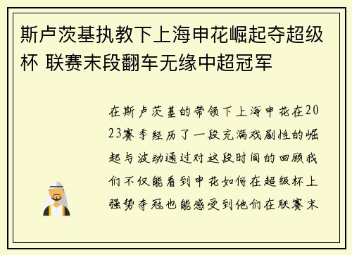 斯卢茨基执教下上海申花崛起夺超级杯 联赛末段翻车无缘中超冠军